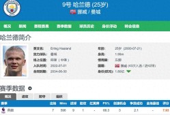 IM电竞赛事_哈兰德破门领跑英超射手榜