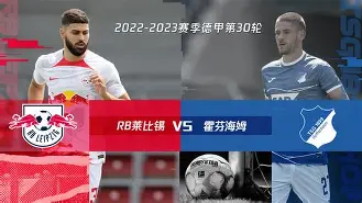 多特蒙德德甲战胜霍芬海姆罗伊斯点球命中的简单介绍