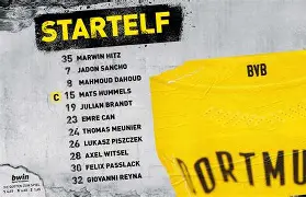 多特蒙德德甲战胜霍芬海姆罗伊斯点球命中的简单介绍